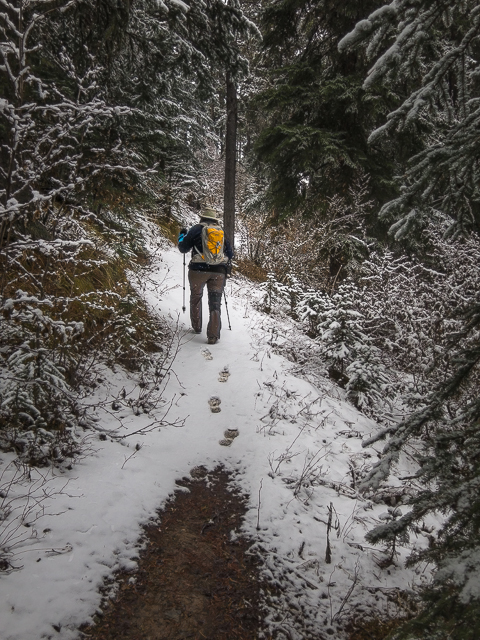 Hiking Trail Deer Ridge