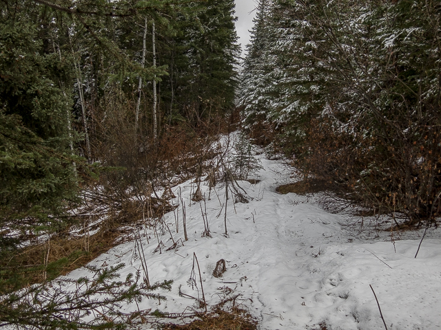 Deer Ridge Hike Loop
