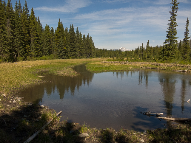Moose Ponds Highwood River