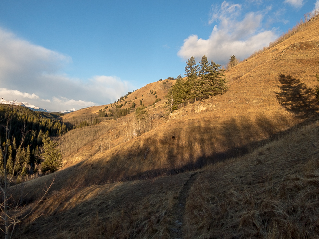 Lesueur Ridge Trail