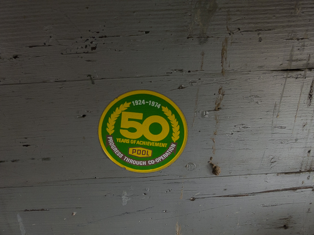 Pool 50 Year Sticker