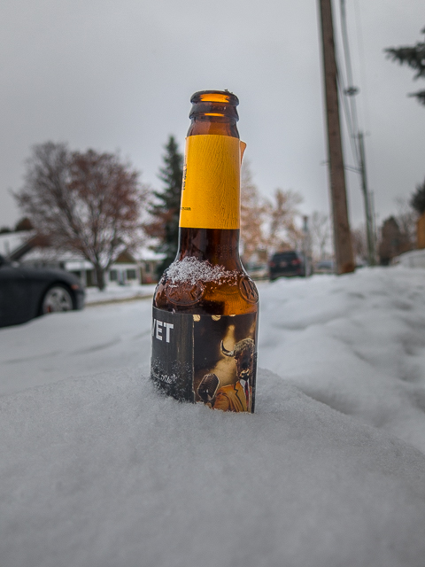 Frozen Beer Bottle