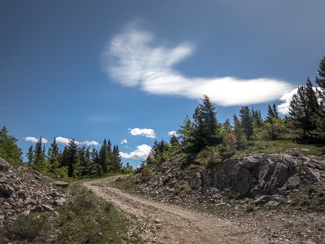 Crowsnest Ridge Trail