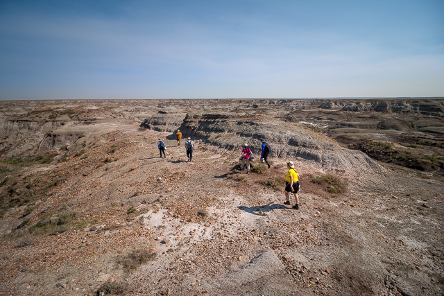 Dino Park Fossil Prospecting Tour