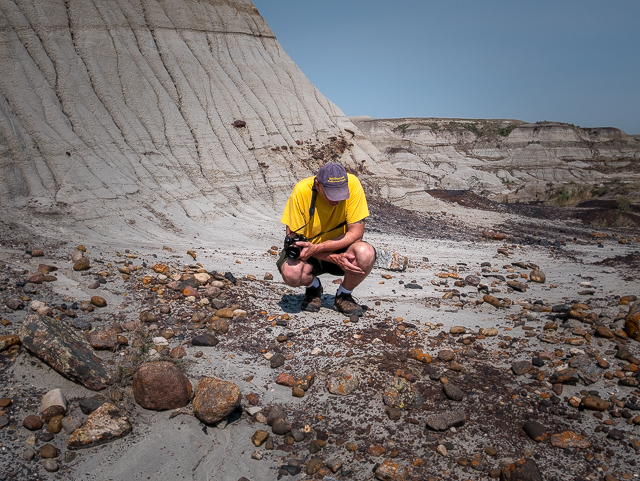 Dinosaur Provincial Park Fossil Prospecting