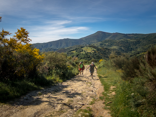 El Camino Trail Spain