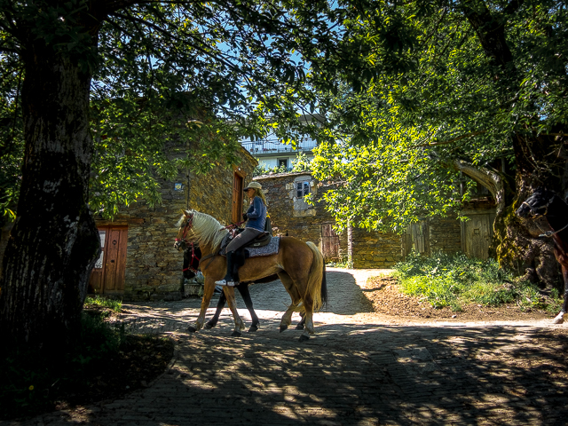 Equestrians El Camino Trail