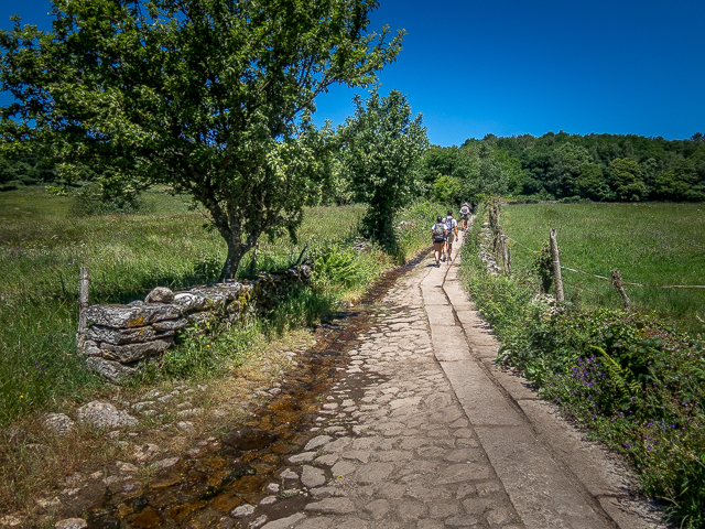 El Camino Trail Lugo Spain