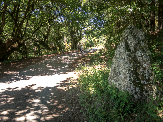 Lugo Spain El Camino Trail