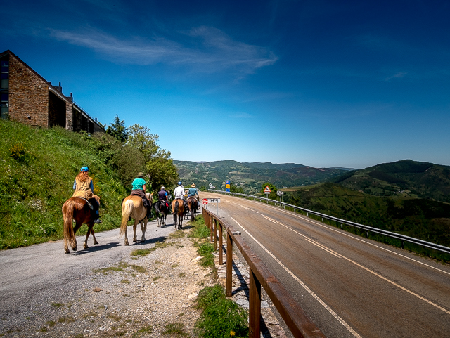 El Camino Trail Horses