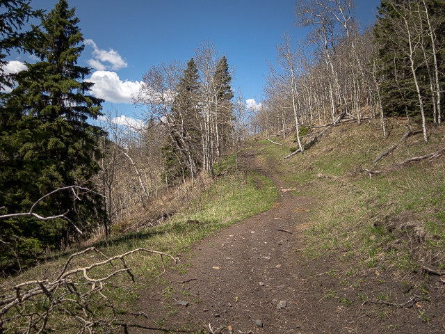 Hiking Threepoint Creek Trail