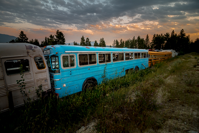 Old Blue Bird Bus