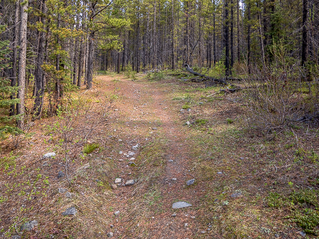 Raspberry Ridge Trail