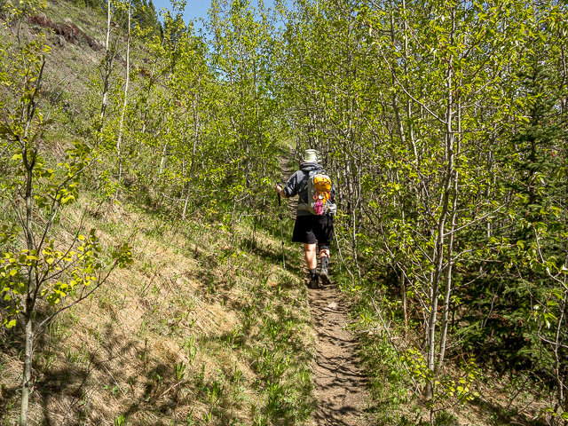 Hiking the Raspberry Ridge Trail