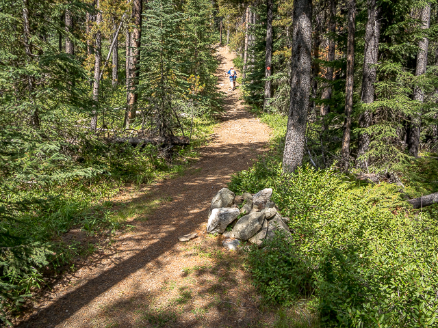 Ford Knoll Hiking Trail