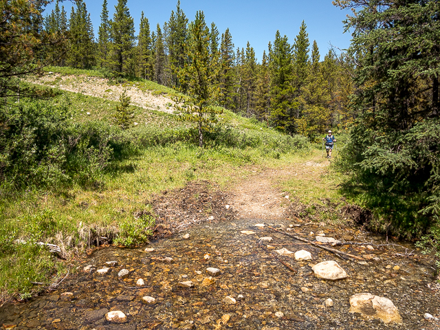 Stream Ford Knoll Trail