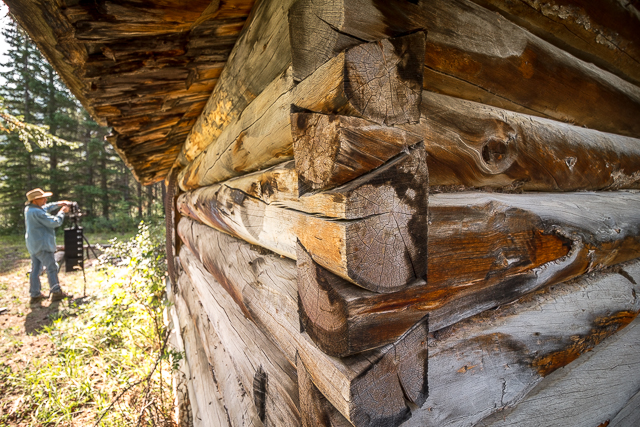 Dovertail Cabin Joint