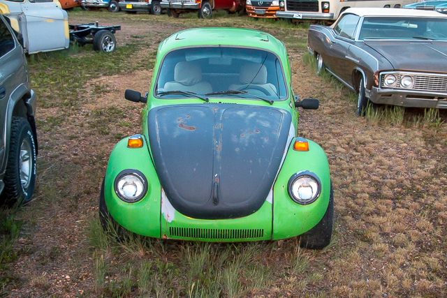 VW Beetle Rosedale AB