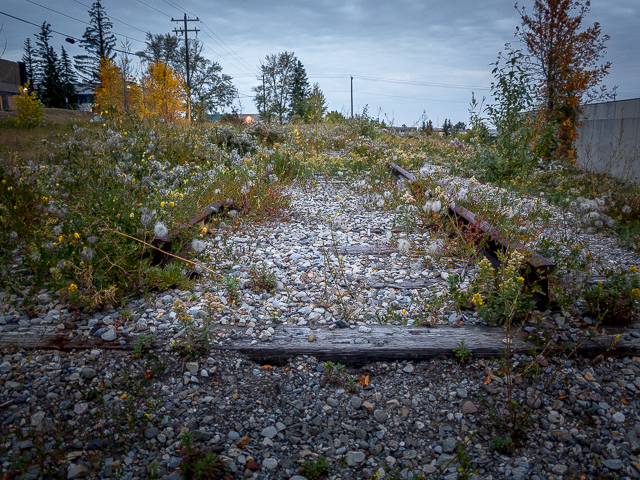 Abandoned Track Calgary