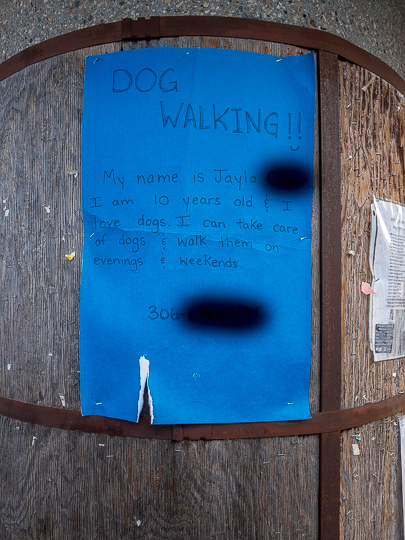Dog Walking Wolseley