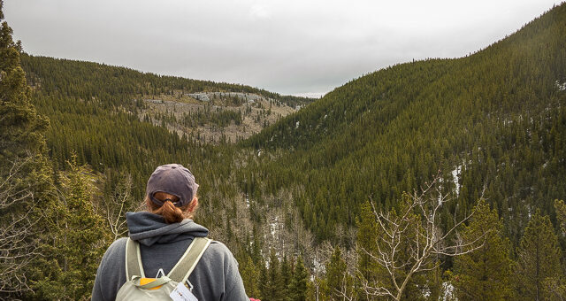 Viewpoint Prairie Creek