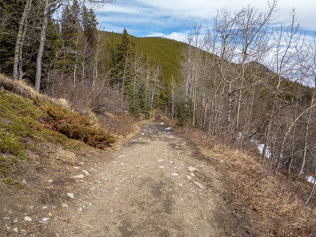 Powderface Creek Hiking Trail