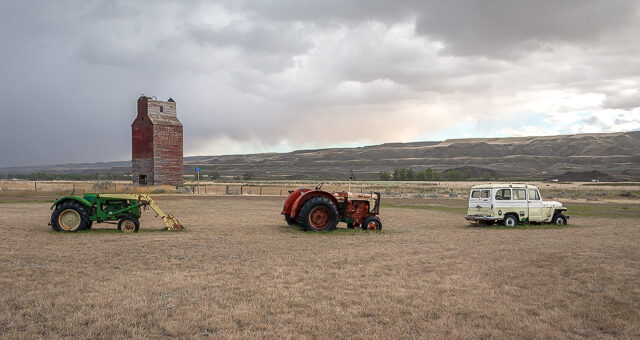 Little Dorothy Alberta