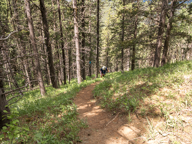 Missinglink Mountain Hiking Trail