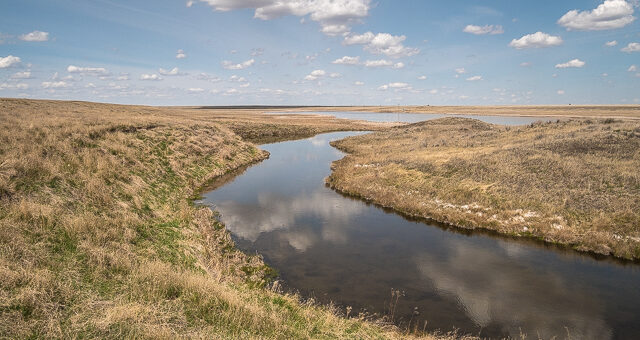 Alberta Lost Lemon Mine