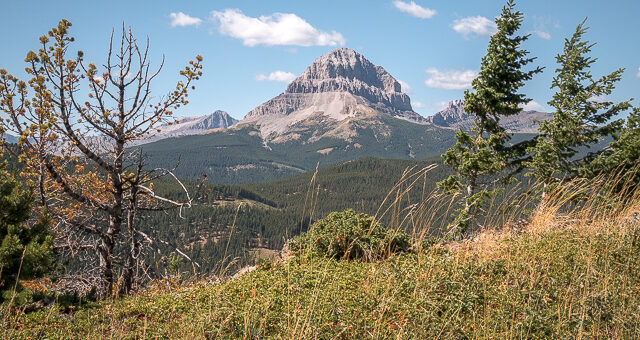 Crowsnest Mtn