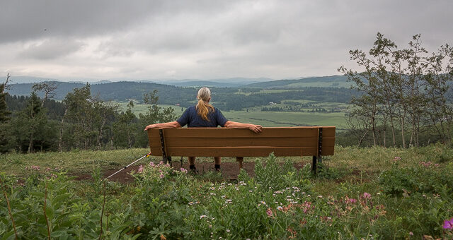 Brown Lowery Eagle Lookout