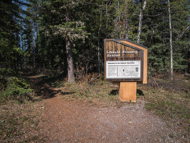 Sibbald Forestry Exhibit Trail