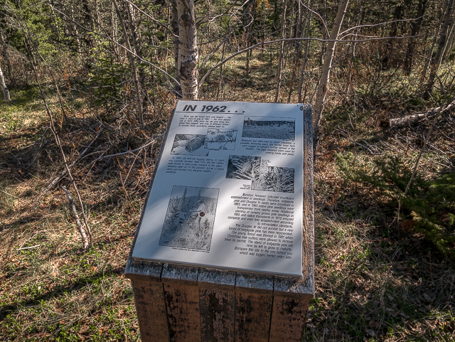 Sibbald Forestry Exhibit Trail