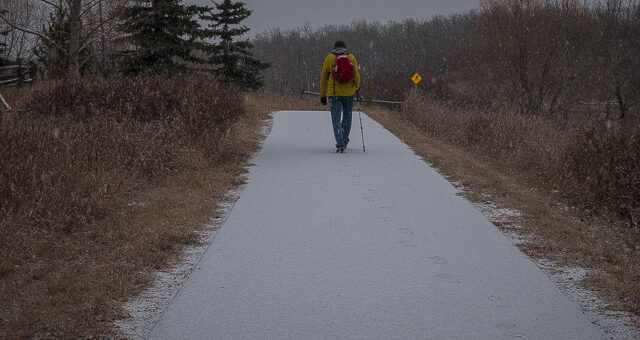 Stoney Creek Pathway Camrose