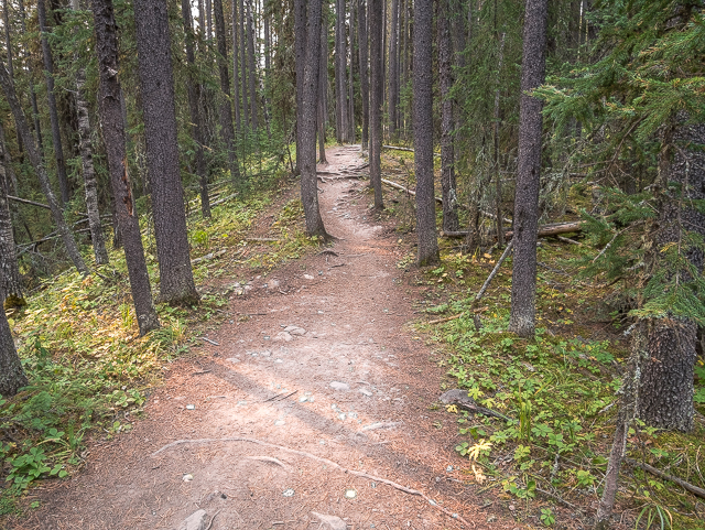 Ranger Summit Trail