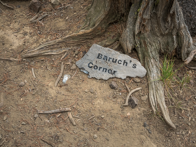 Baruch's Corner WBC