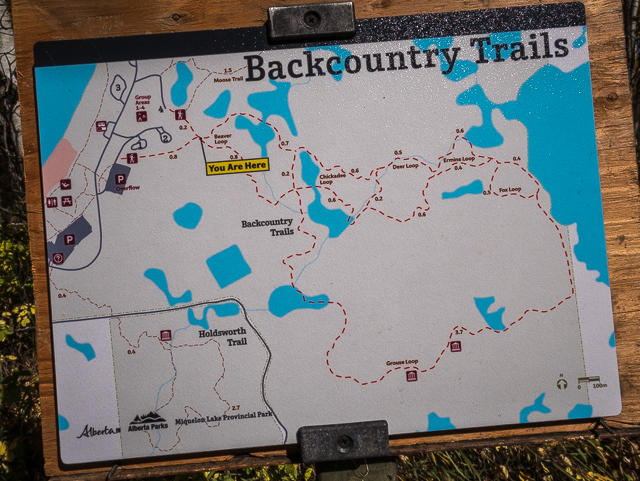Miquelon Lake Park Trail Map
