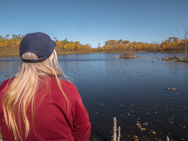 Pond Miquelon Lake Park