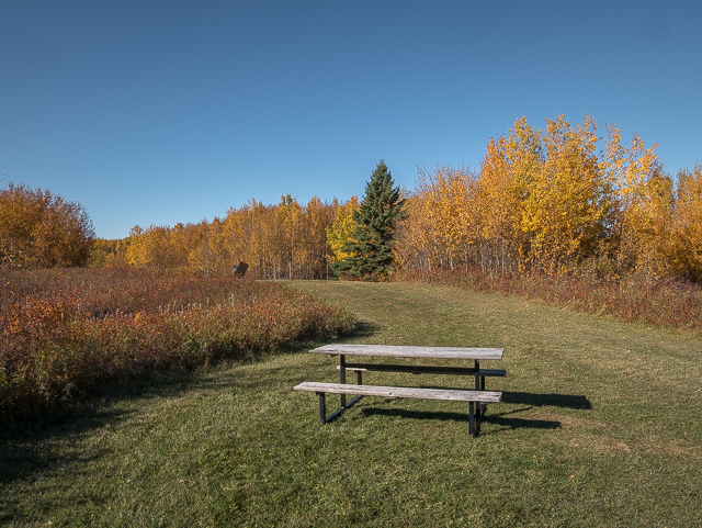 Miquelon Lake Park Trails Picnic Table