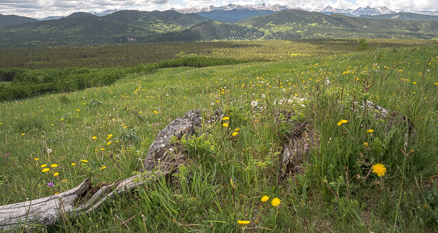 Long Prairie Ridge Views