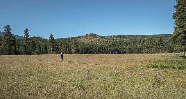 Rampart Prairie Cranbrook