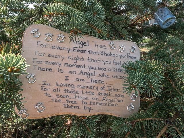 Angel Tree Chestermere