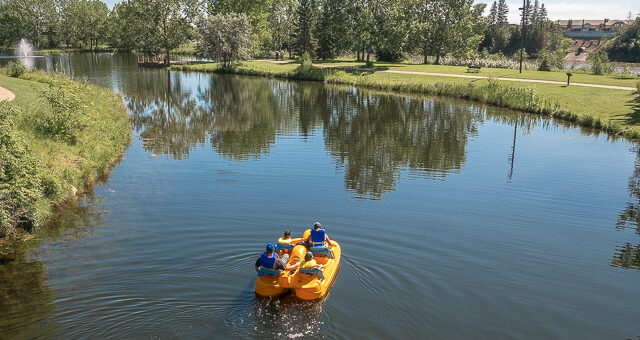 Bower Ponds Red Deer