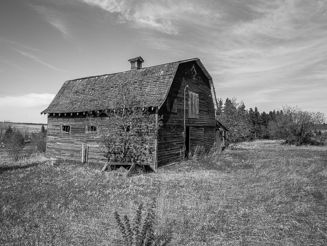 Abandoned Barn Alberta