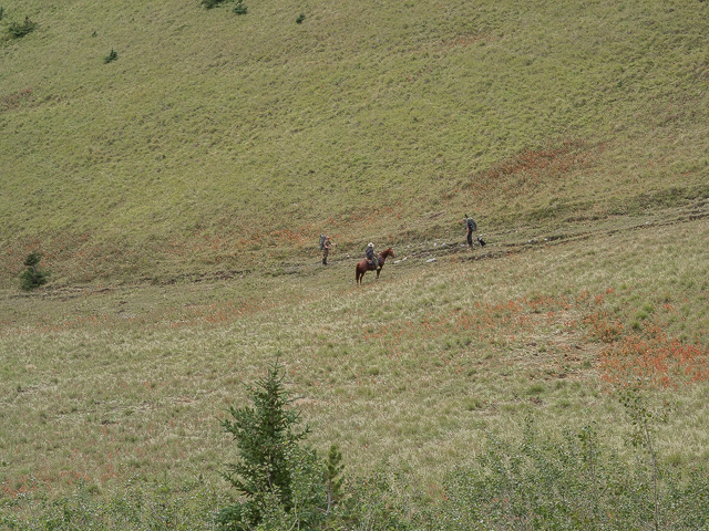 Grass Pass Equestrian