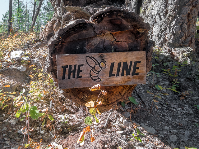 Bee Line Hike Cranbrook