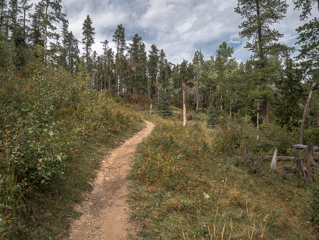 Boundary Ridge Trail