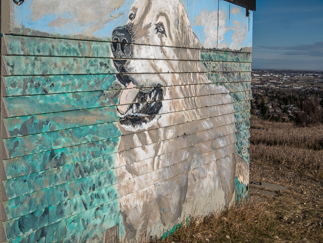 Dog Mural Nose Hill