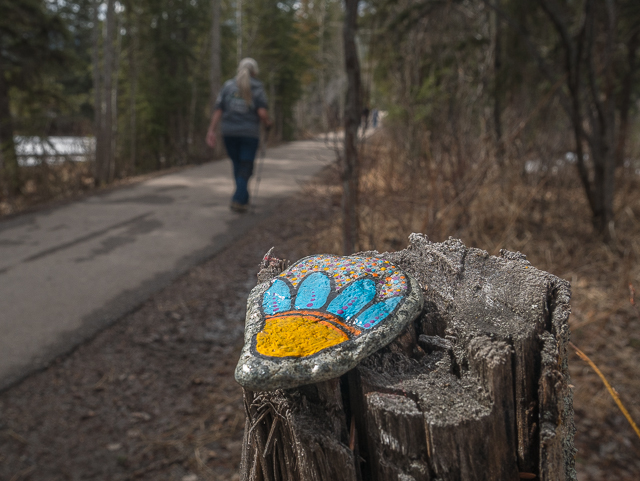 Canmore Pathways Hike