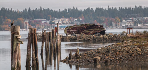 Melanope Royston Wrecks